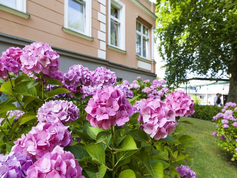 Ostseehotel Villen Im Park - Ein Rovell Hotel ゼーバート・ヘリングスドルフ エクステリア 写真